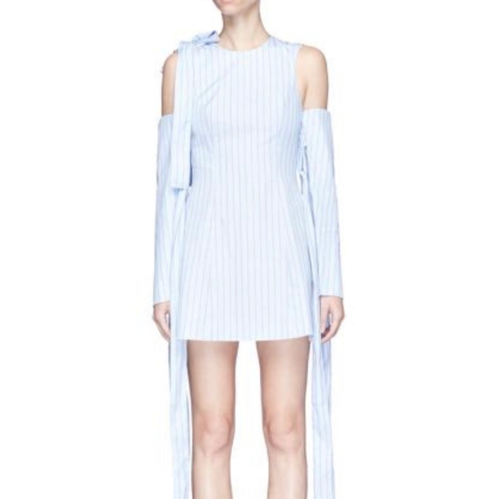 NEW W TAGS Shirt dress by STRATEAS CARLUCCI - XS